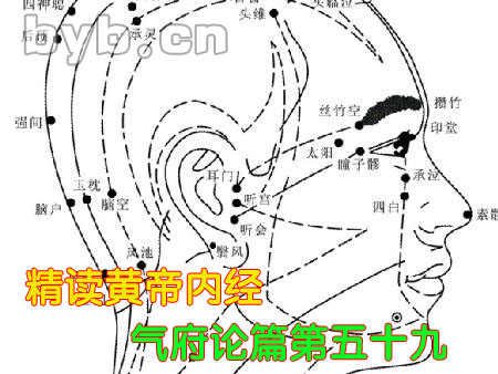 精讀黃帝內經(jīng)氣府論篇第五十九