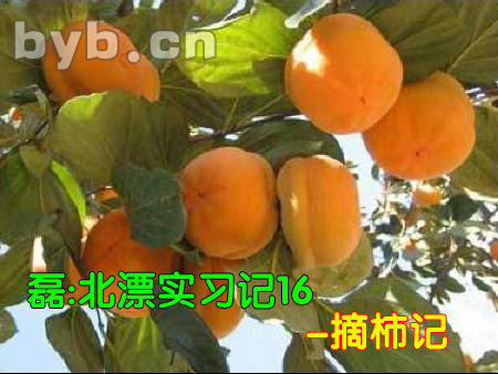 byb.cn